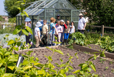 Open Farm Sunday Farms For City Children Wick Court