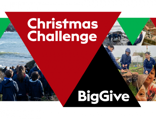 Big Give Christmas Challenge 2023
