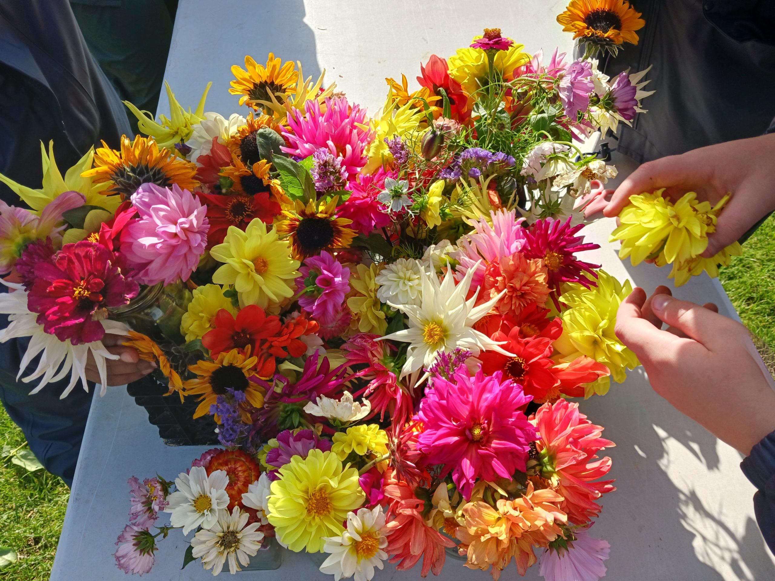 50 Voices: Creating calm through flowers and craft