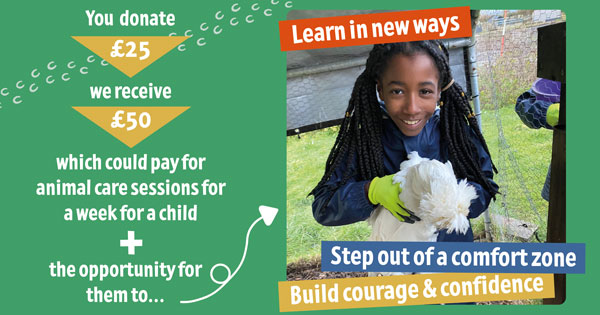 Donate £25 Farms for City Children receive £50 which could pay for animal care sessions graphic.