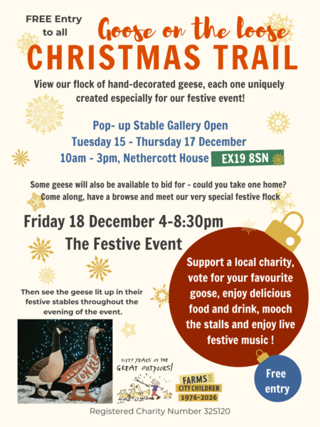 A poster with the details of Goose on the Loose Christmas trail which are also contained in text in the main news item.