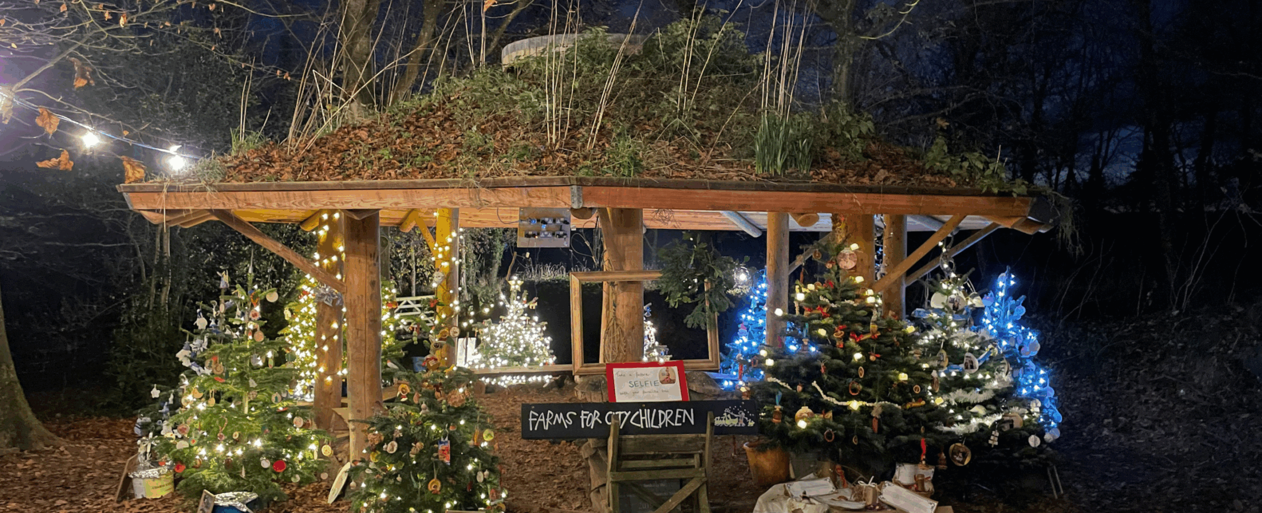 Christmas Tree Festival at Nethercott House