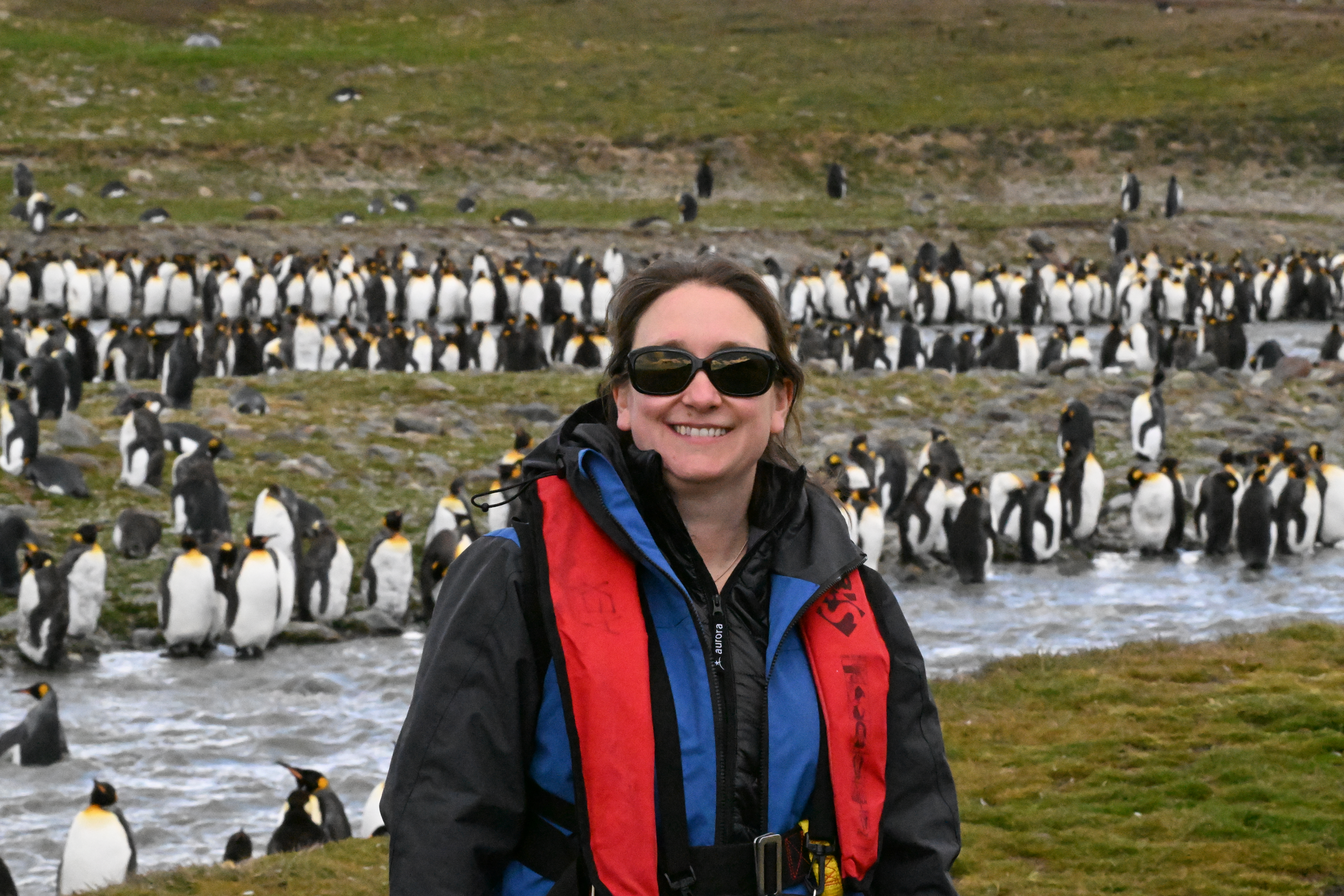 50 voices: A world opened up