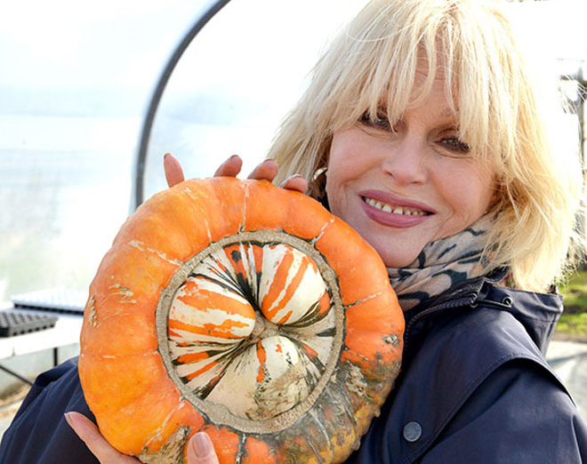 Joanna Lumley Vice President Farms for City Children