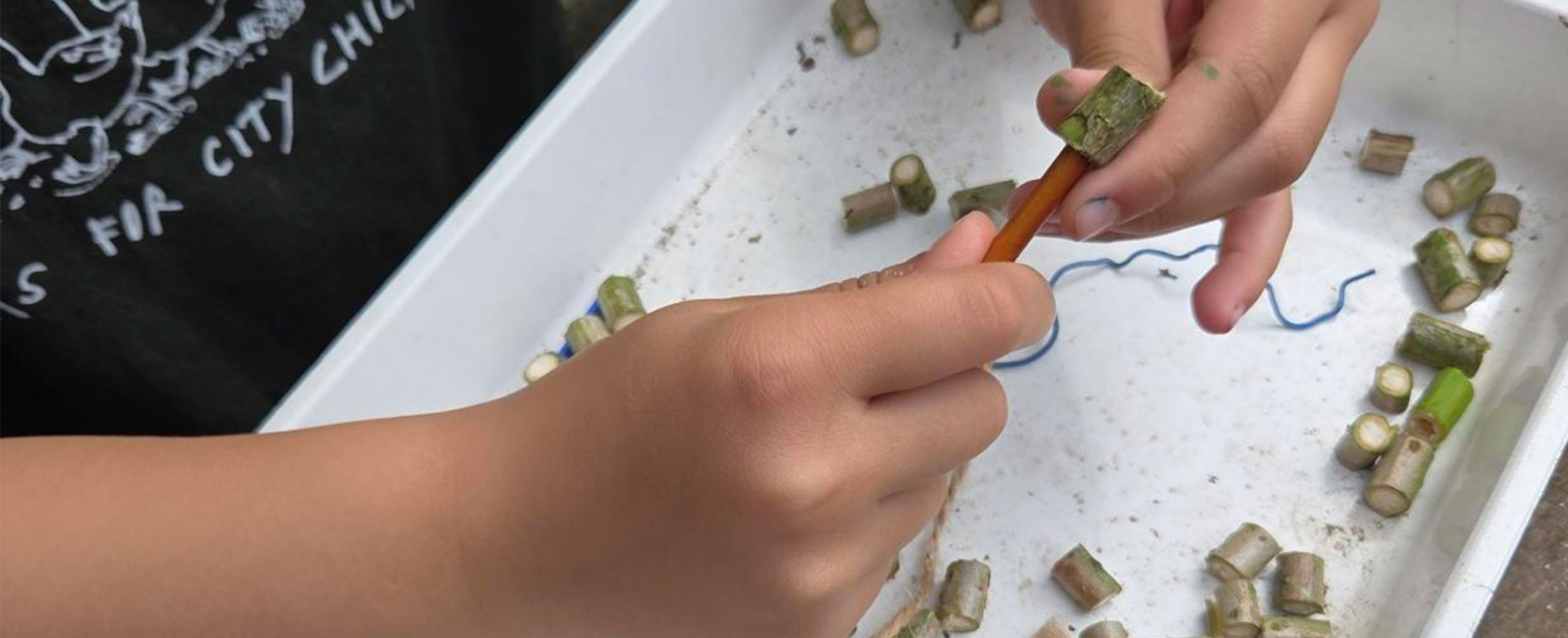 Summer activity: Making Elder jewellery