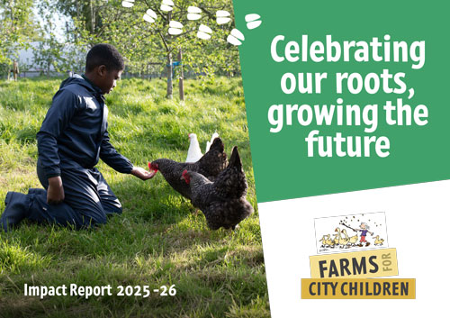 Front cover of Farms for City Children impact report featuring a boy kneeling on grass hand feeding chickens.