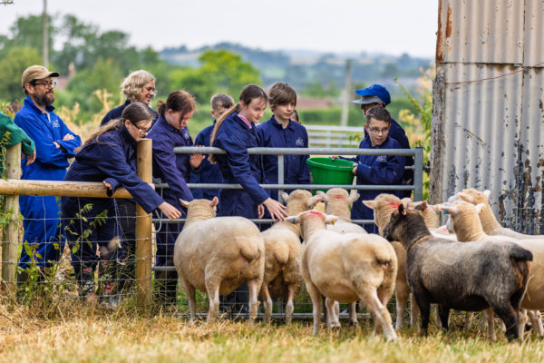 Credit: Nick Turner Stevie and some young farmers leaning over a metal gate looking at sheep.