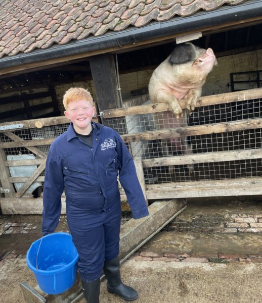 boy in blue overalls stood in front of a pig pen with the pig on its hind legs
