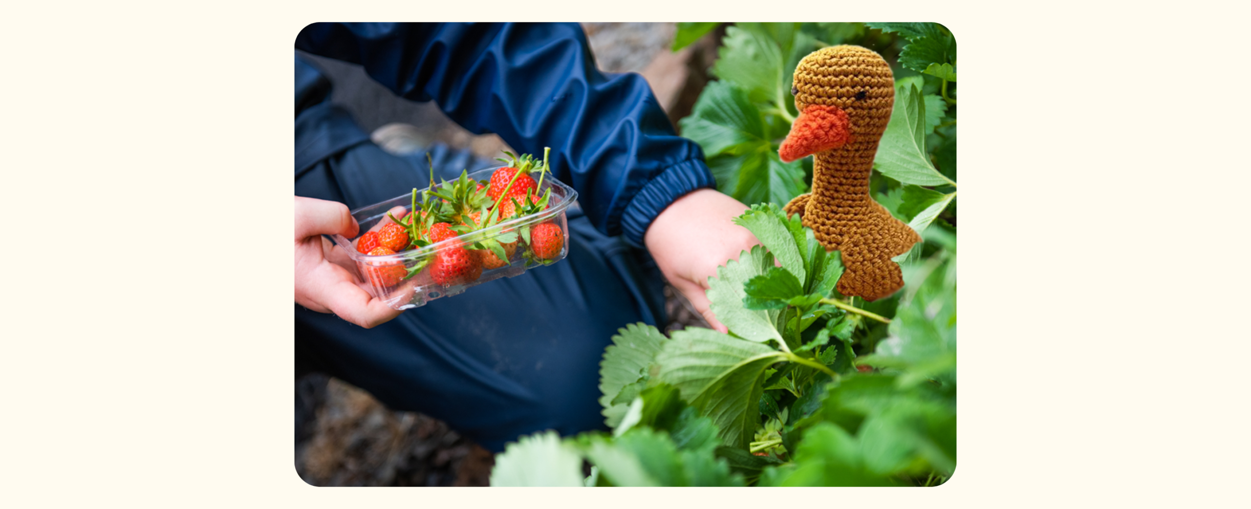 The further adventures of the Golden Goose