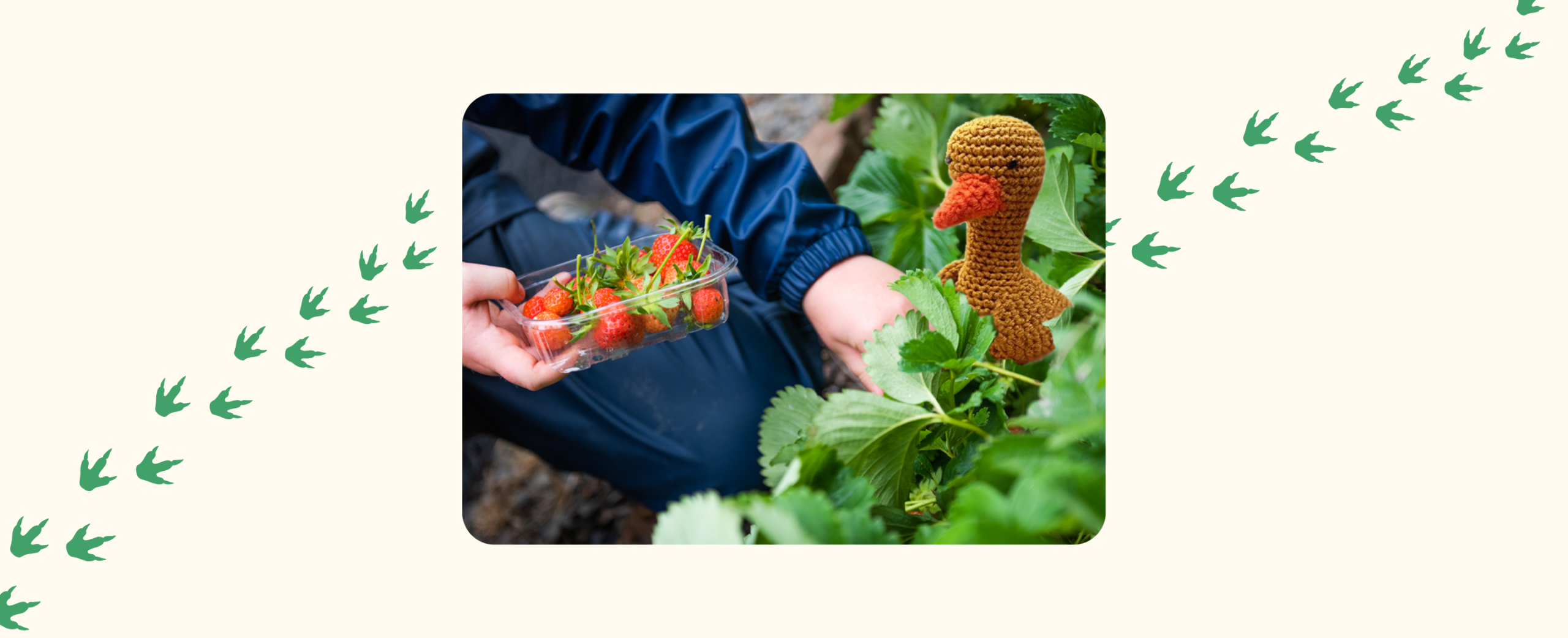 The further adventures of the Golden Goose