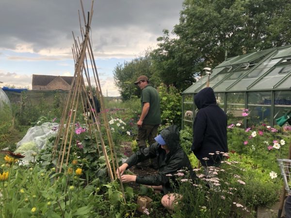 A thriving market garden style garden with bean poles, greenhouse and plants being tended by staff and visiting children