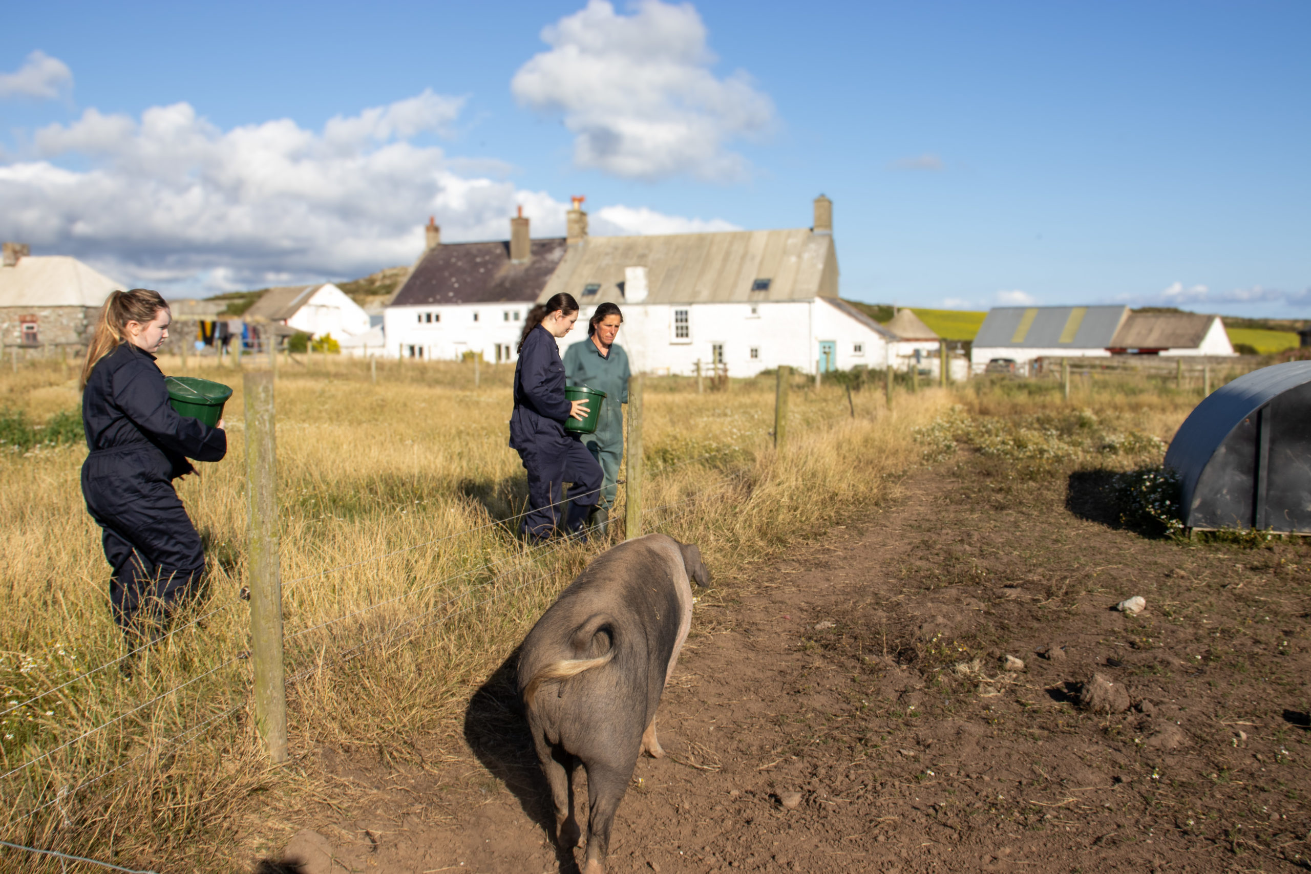 50 Voices: A sense of hiraeth