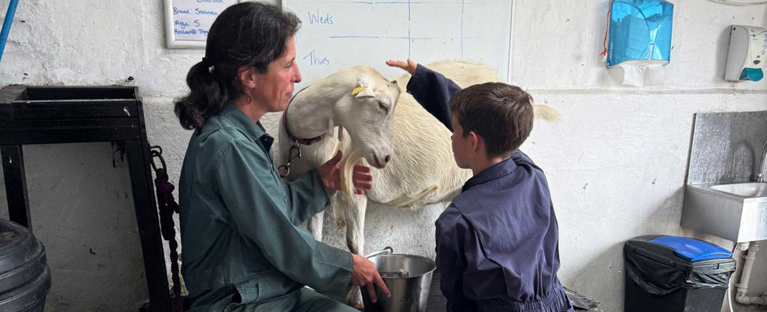 We’re recruiting: Farm School Leader – Livestock (Lower Treginnis)