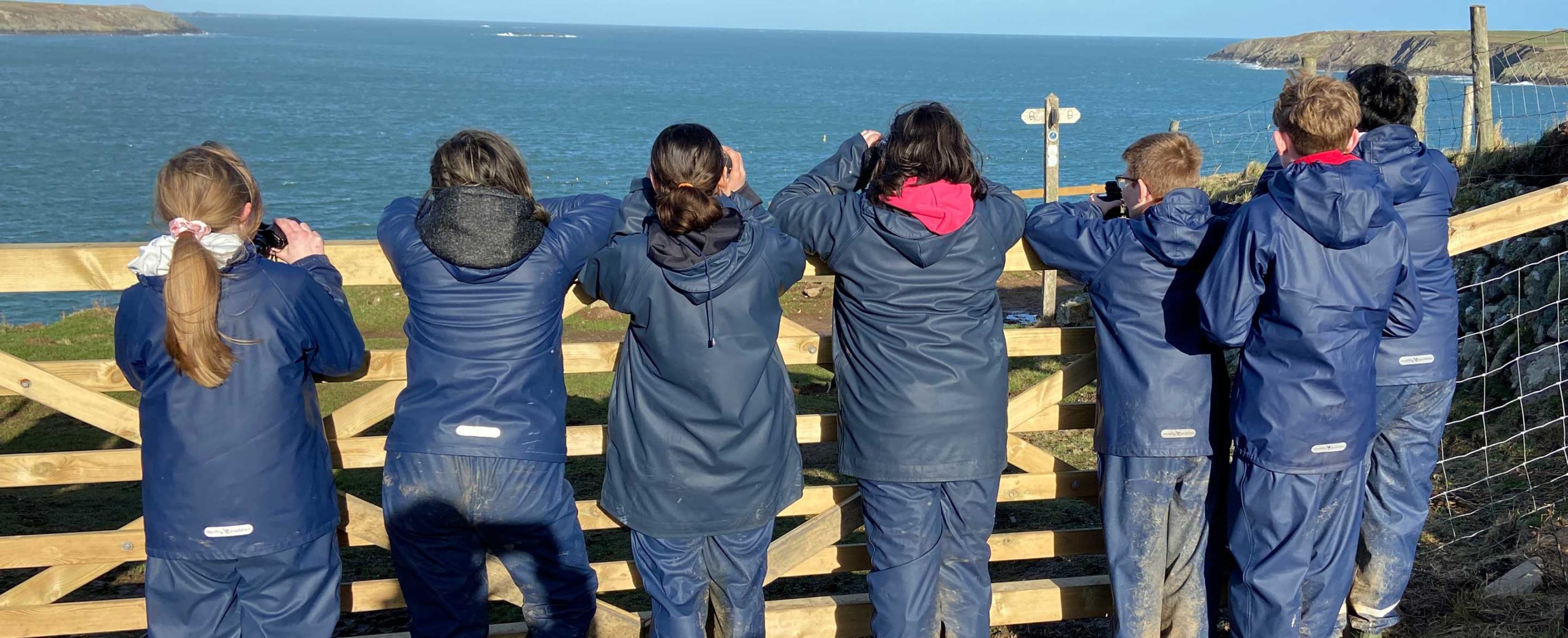 50 voices: A sense of hiraeth