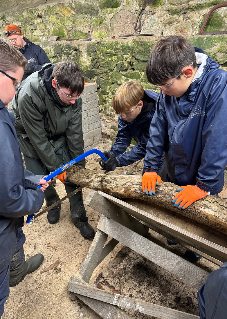 Group of young people in Farms for City Children overalls sawing a log together.
