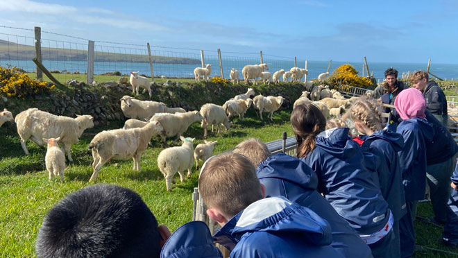 A group of children looking out at a group of sheep in a field next to the sea