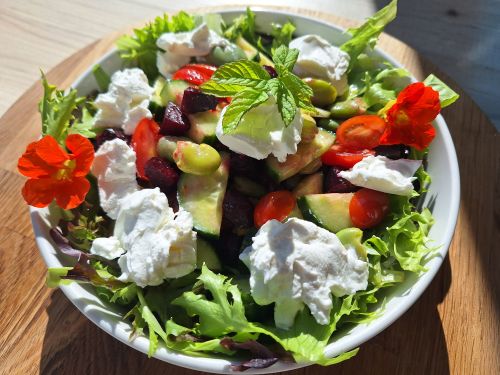 A bowl of summer salad on a wooden board.