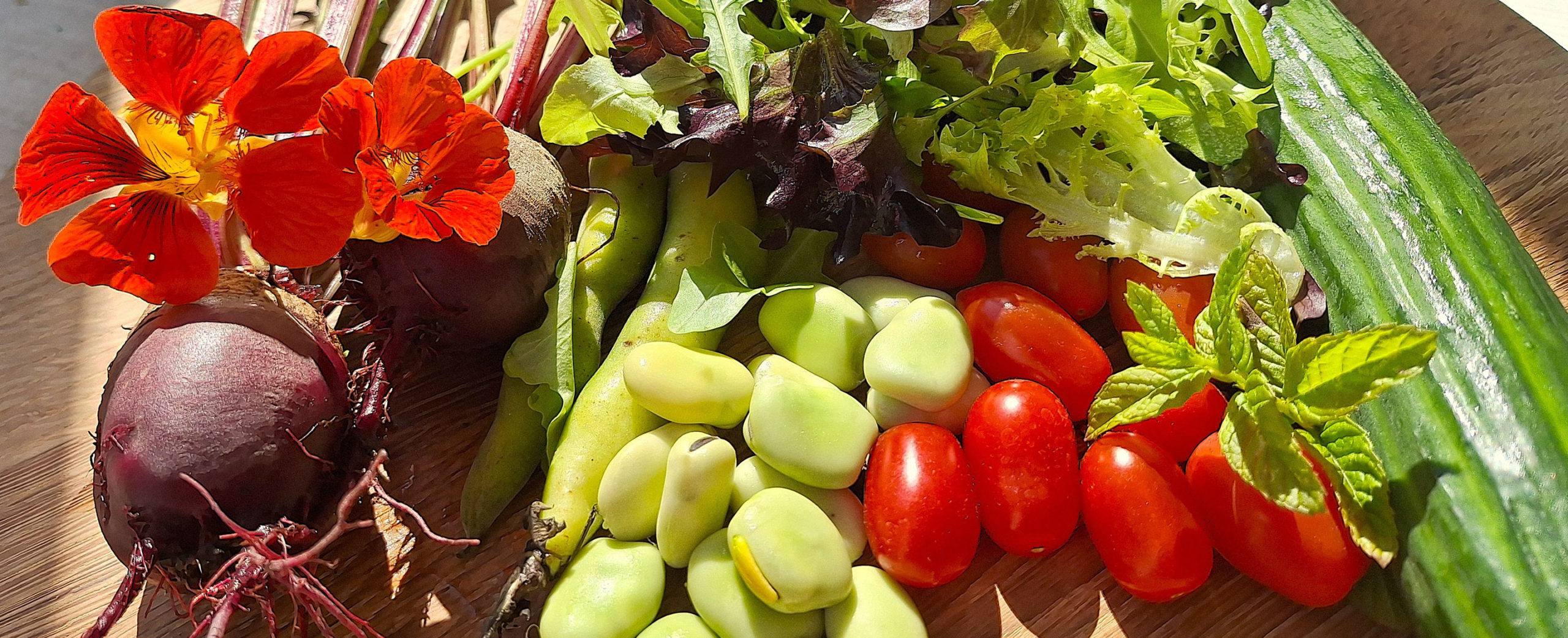 Summer recipe: Treginnis garden salad