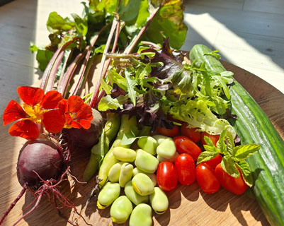 A selection of summer salad ingredients on a wooden board.