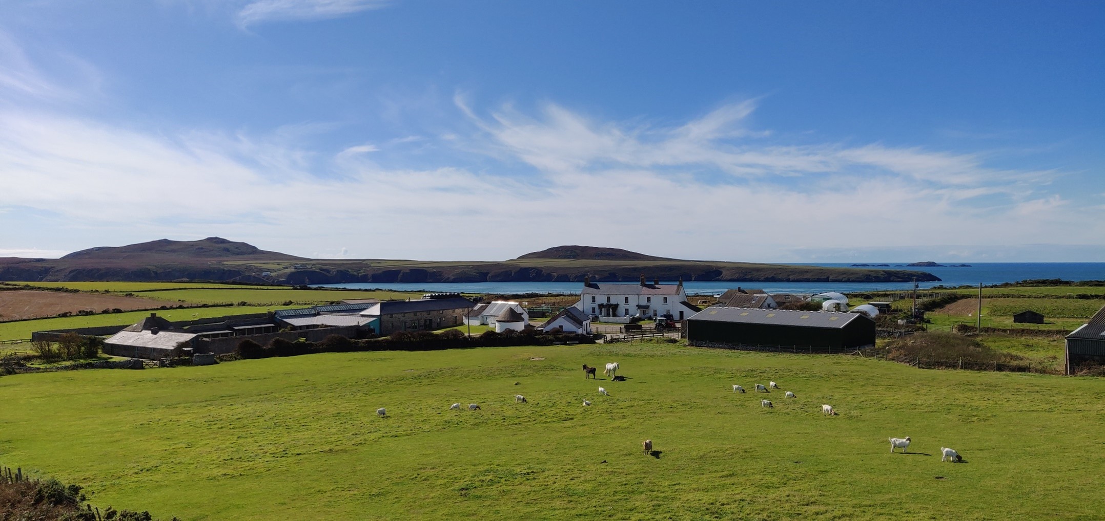 50 voices: Why Lower Treginnis matters more than ever