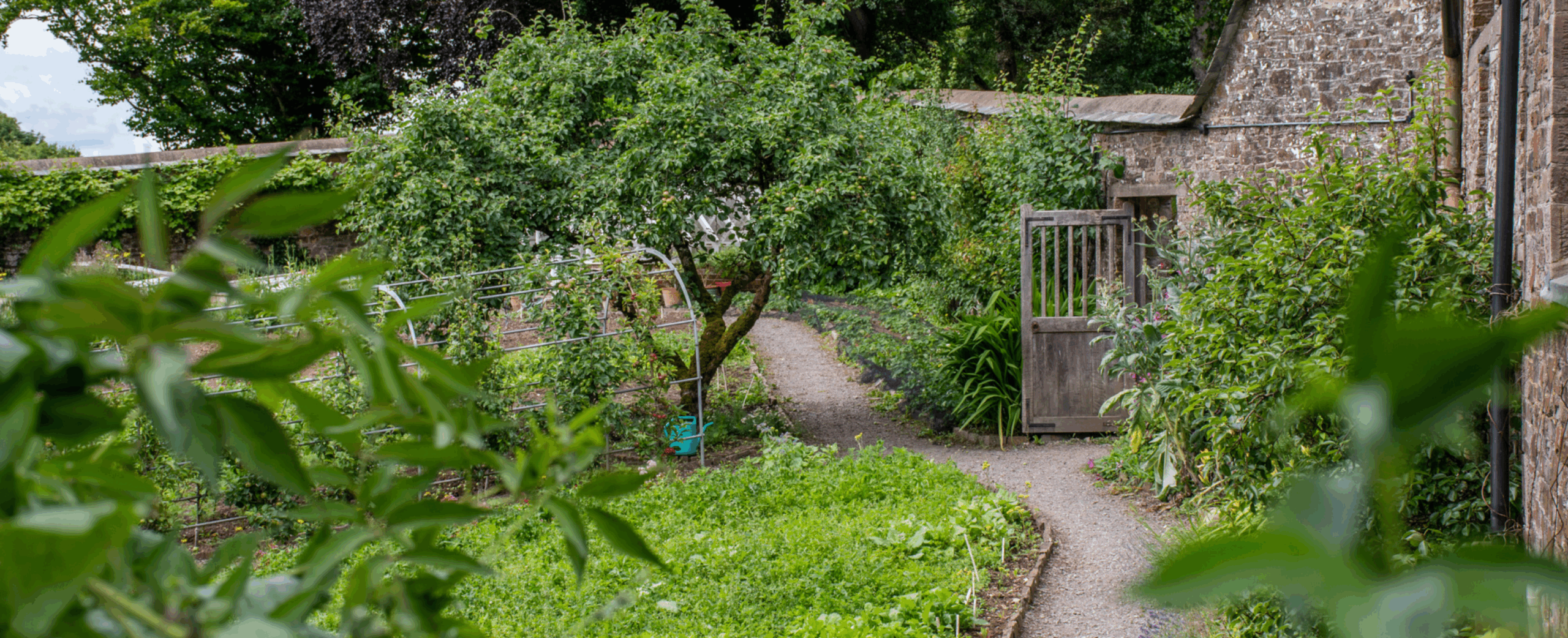 Explore Nethercott’s Victorian walled garden this summer