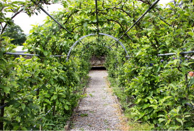 Open Garden Net