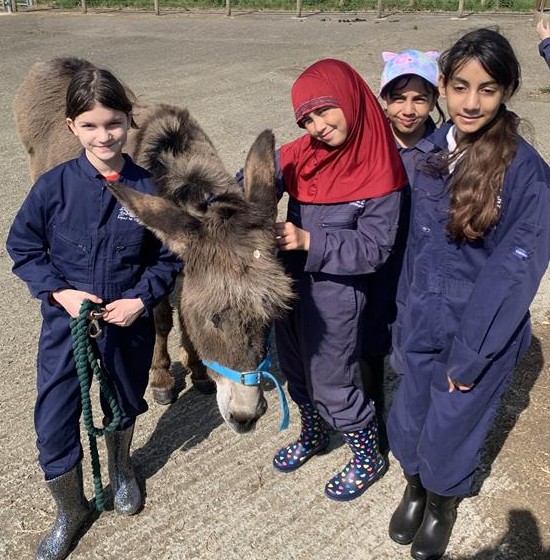 Children in Farms for City Children overalls with a donkey