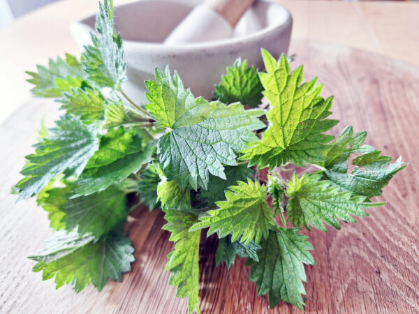 Spring nettles on a wooden board with a pestle and mortar