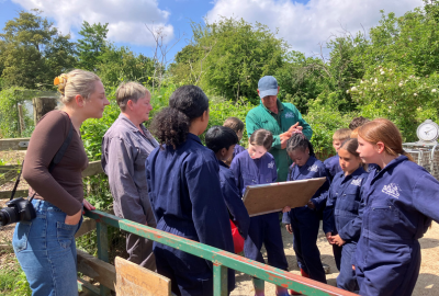 Terraverde Wick Court Visit Farms For City Children