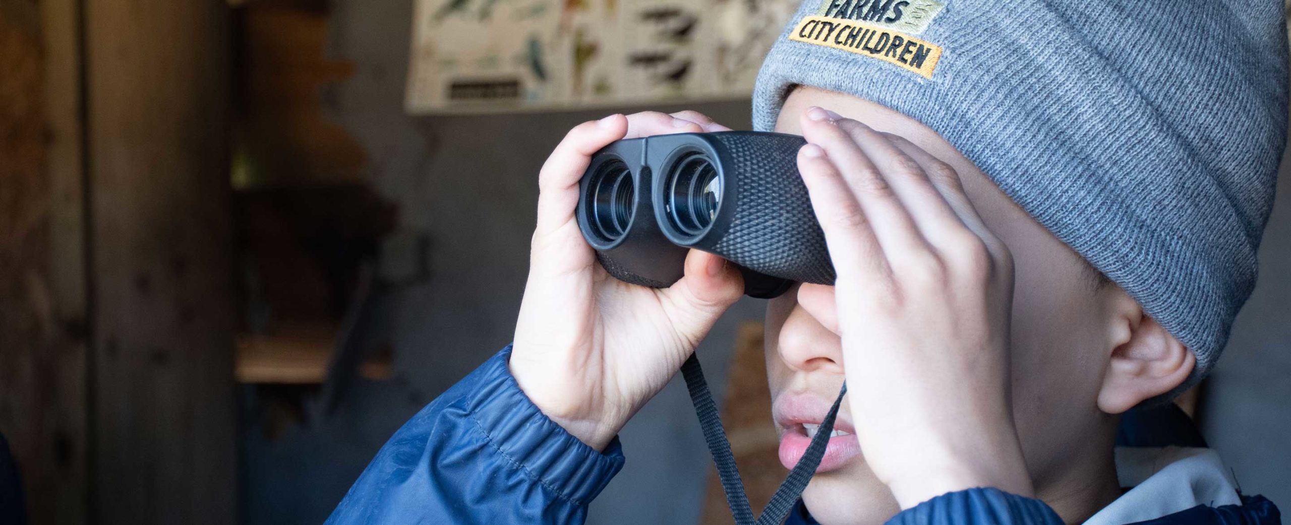 Spring activity: Birdwatching