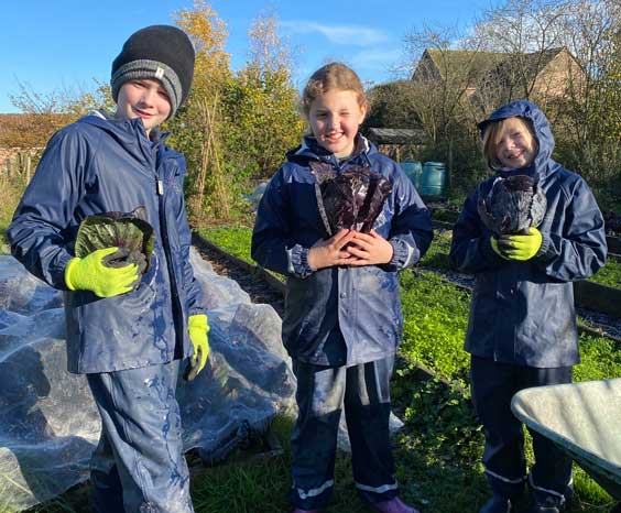 Three children in a field holding newly harvested cabbages