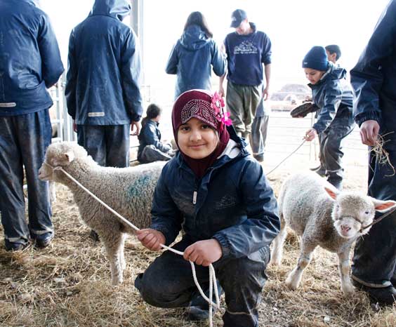 Girl in Farms for City Children overalls crouching down holding a lamb in a halter