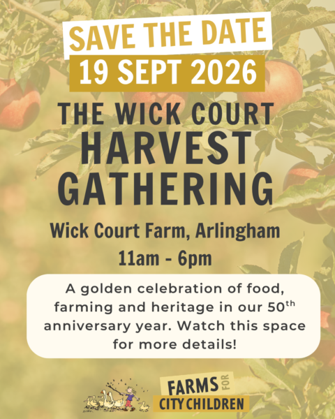 The Wick Court Harvest Gathering save the date
