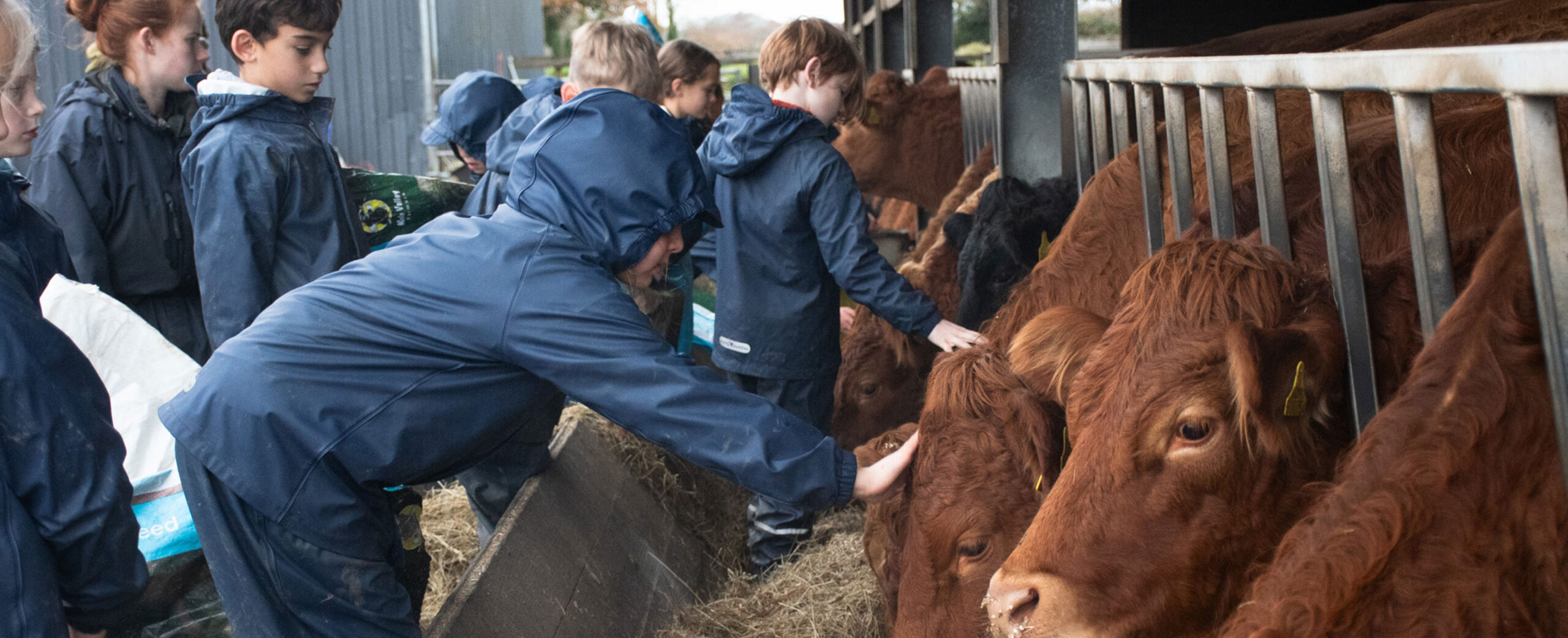 The lasting benefits of a winter farm visit
