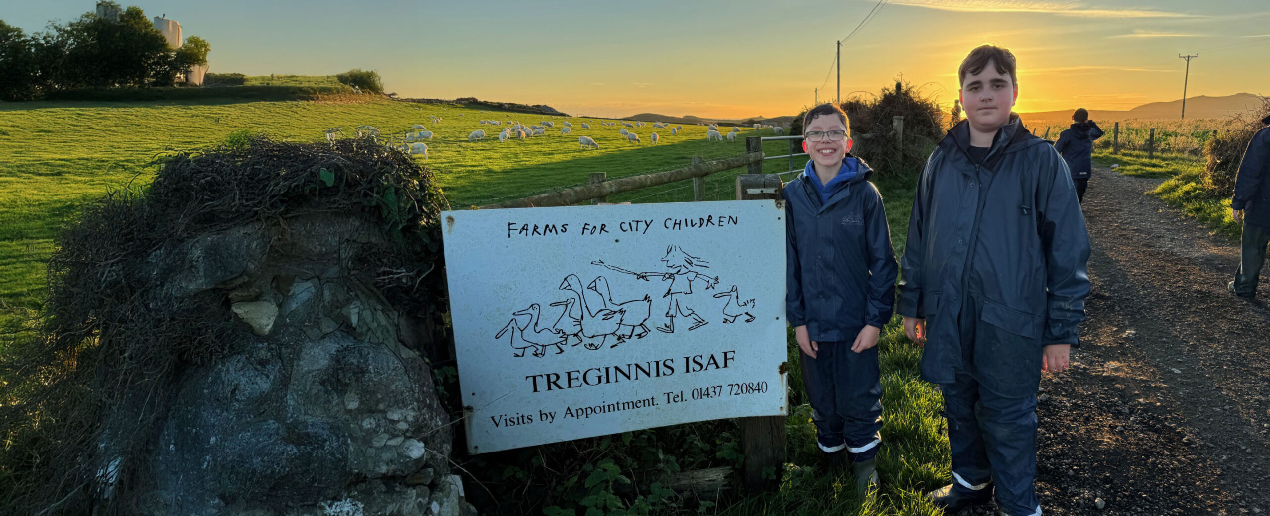 Lower Treginnis to host Open Farm Sunday