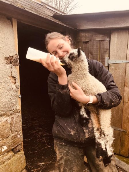 Katy stood in a yard feeding a lamb by bottle